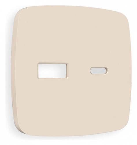 Накладка для розетки type A и C Ambrella Volt OMEGA OP3310 в Нижнем Новгороде