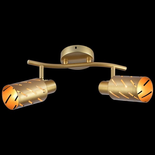 Спот Reluce 05970 05970-0.8-02 GOLD в Нижнем Новгороде фото 4