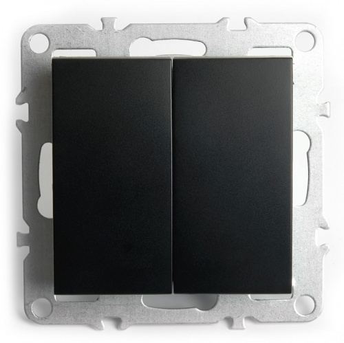 Выключатель двухклавишный без рамки Stekker Эрна 49149 в Нижнем Новгороде