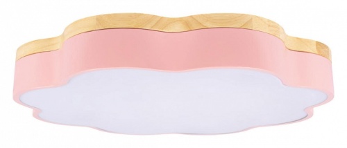 Накладной светильник Loft it Axel 10225/36 Pink в Нижнем Новгороде фото 7