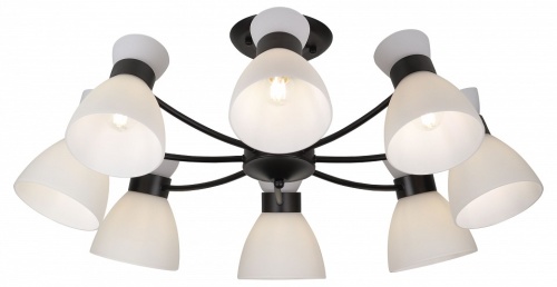 Люстра на штанге Rivoli Aemilia 9185-308 в Нижнем Новгороде фото 3