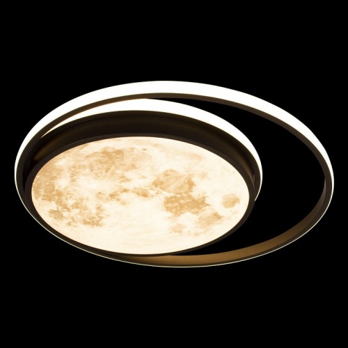 Накладной светильник Loft it Luna 10217 в Нижнем Новгороде фото 5