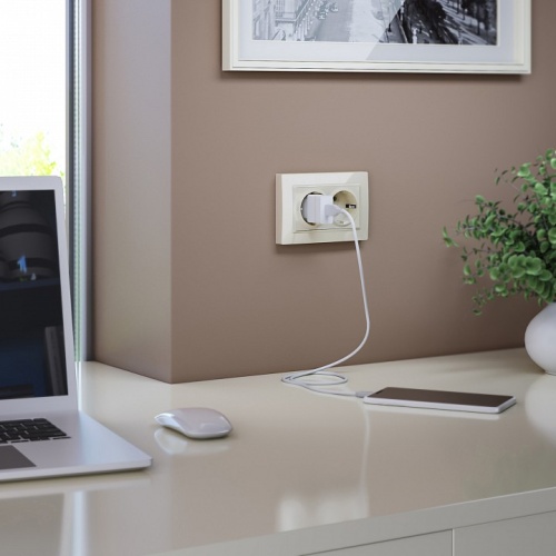 Розетка двойная с заземлением, без рамки Werkel слоновая кость W1172003 в Нижнем Новгороде фото 2