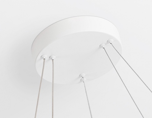 Подвесной светильник Ambrella Light FL FL5505 в Нижнем Новгороде фото 2