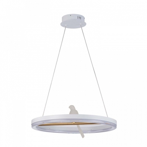 Подвесной светильник F-promo Bardy 4653-1P в Нижнем Новгороде фото 2