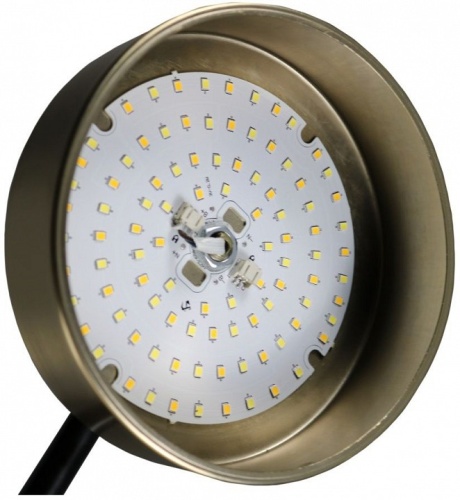 Подвесная люстра Zortes Lunar ZRS.01243.04 в Нижнем Новгороде фото 4