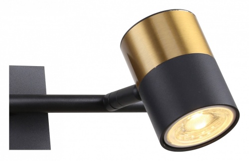 Бра F-promo Chart 3092-2W в Нижнем Новгороде фото 2