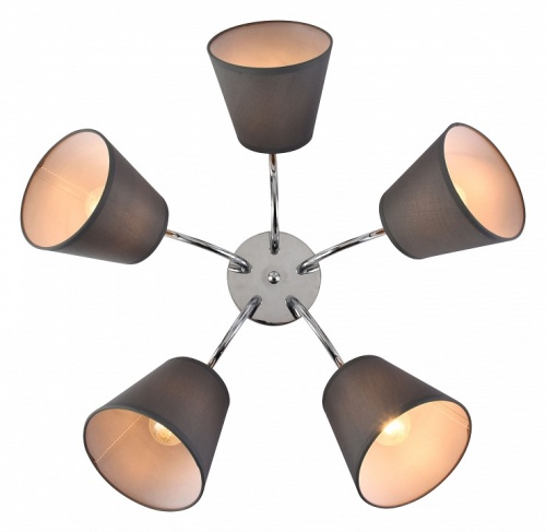 Потолочная люстра Rivoli Alexa Б0059974 в Нижнем Новгороде фото 5