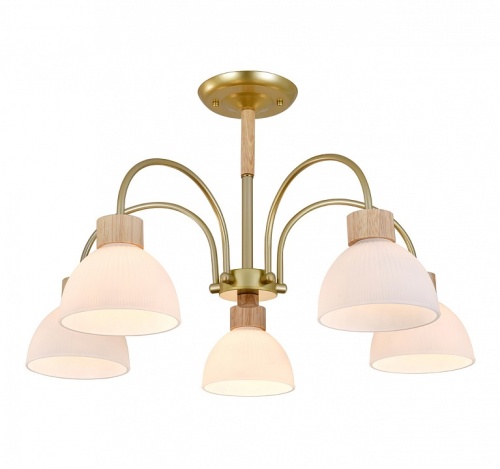 Люстра на штанге Escada  ES0000061 в Нижнем Новгороде