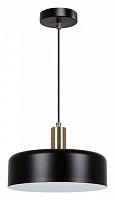 Подвесной светильник Arte Lamp Skat A7052SP-1BK в Мегионе