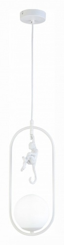 Подвесной светильник EVOLUCE Tenato SLE115123-01 в Нижнем Новгороде фото 6