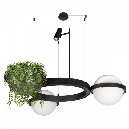 Подвесной светильник Loft it Jardin 10121/2 в Нижнем Новгороде фото 8