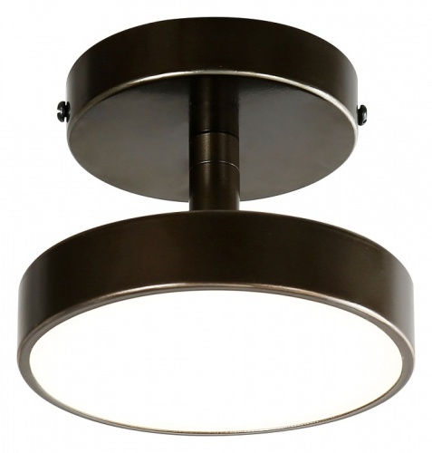 Светильник на штанге F-promo Atma 3060-1P в Нижнем Новгороде фото 3