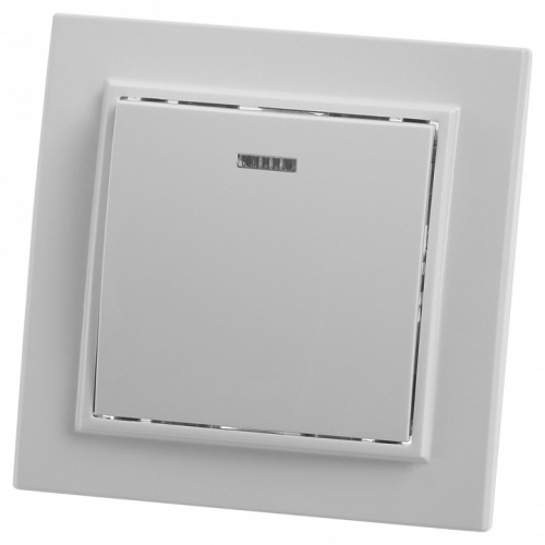 Выключатель одноклавишный с подсветкой Stekker Эрна 39041 в Нижнем Новгороде