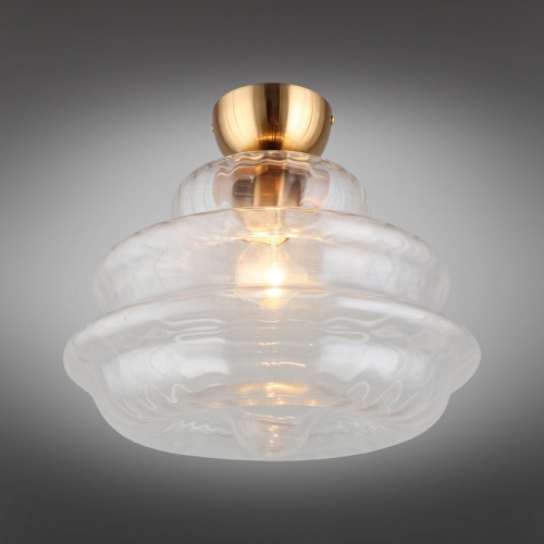 Накладной светильник Aployt Liana APL.303.07.01 в Нижнем Новгороде фото 9