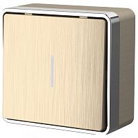 Выключатель одноклавишный с подсветкой Werkel Gallant (шампань рифленый) W5010110 в Нижнем Новгороде