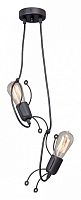 Подвесной светильник Vitaluce V4744 V4744-1/2S в Нижнем Новгороде
