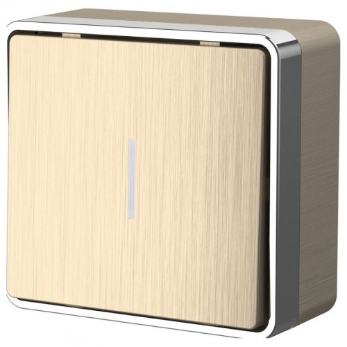 Выключатель одноклавишный с подсветкой Werkel Gallant (шампань рифленый) W5010110 в Нижнем Новгороде