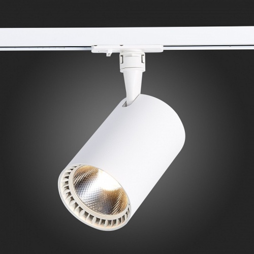 Светильник на штанге ST-Luce Cami ST351.546.30.36 в Нижнем Новгороде фото 7