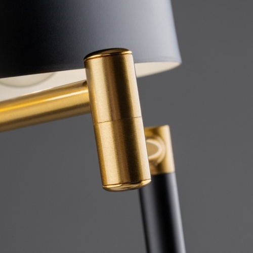 Настольная лампа декоративная Freya Izza FR4008TL-02BBS в Нижнем Новгороде фото 3