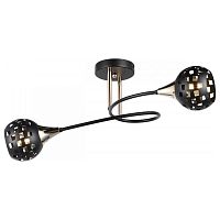 Светильник на штанге Imex MD.19074 MD.19074-2-S-BK+FGD в Нижнем Новгороде