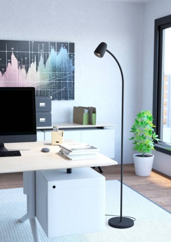 Торшер Eglo CARLO 902172 в Нижнем Новгороде фото 2