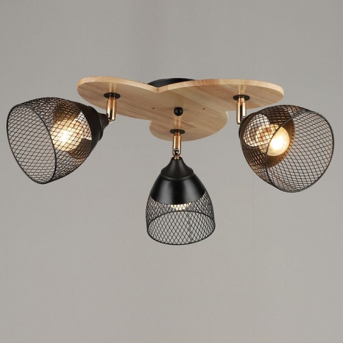 Потолочная люстра 04722-0.3-03 в Нижнем Новгороде фото 4