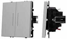 Выключатель двухклавишный с подсветкой без рамки Arlight SWT-NOBE 059418 в Нижнем Новгороде