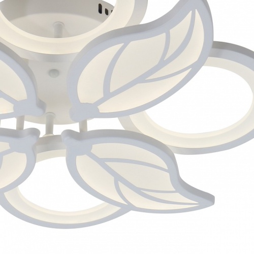 Потолочная люстра Escada GAURA 10214/8LED в Нижнем Новгороде фото 2