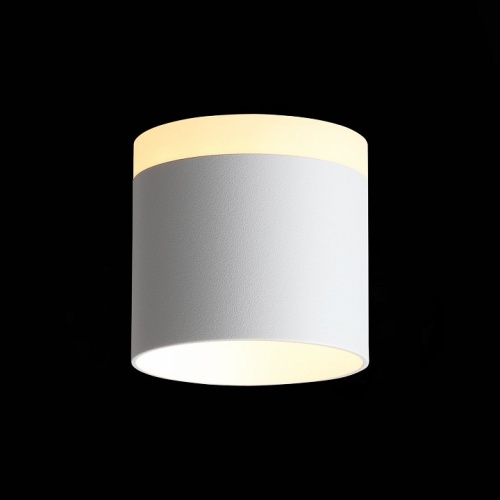 Накладной светильник ST-Luce Panaggio ST102.502.09 в Нижнем Новгороде фото 2