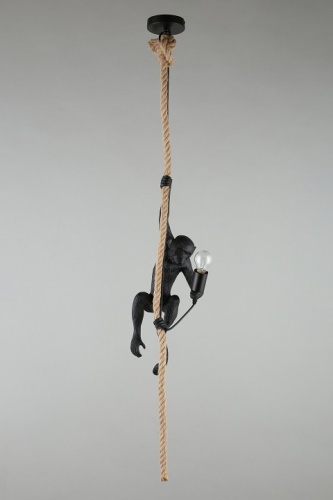 Подвесной светильник Aployt Magali APL.309.16.01 в Нижнем Новгороде фото 8