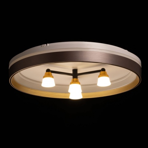 Потолочная люстра De City Семья 66 660014701 в Нижнем Новгороде фото 5