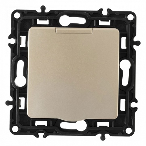 Розетка влагозащищенная с заземлением и со шторкой с крышкой Arte Milano am-217 217.41-1.shampan в Нижнем Новгороде фото 6