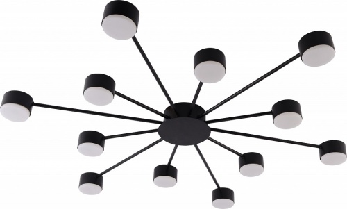 Потолочная люстра Rivoli Leona 3184-312 в Нижнем Новгороде фото 3