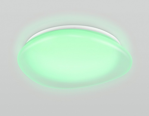 Накладной светильник Ambrella Light ORBITAL FZ1610 в Нижнем Новгороде фото 10