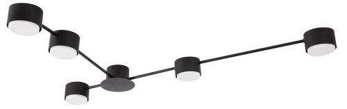 Потолочная люстра Arte Lamp TRACY A1527PL-5BK в Нижнем Новгороде