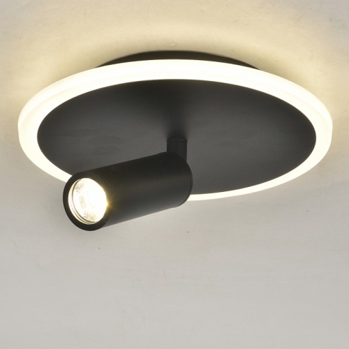 Светильник на штанге Escada 20046LED 20046SMA/01LED BK в Нижнем Новгороде фото 3