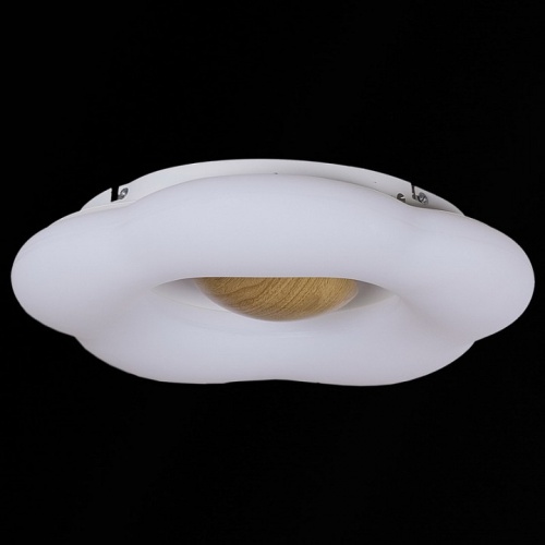 Накладной светильник 01014-0.3-01 WOOD в Нижнем Новгороде фото 2