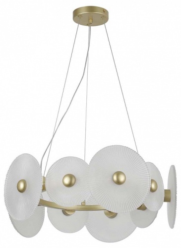 Подвесной светильник F-promo Arctium 4605-8P в Нижнем Новгороде фото 2