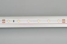 Лента RTW 2-5000PS-50m 24V White6000 (3528, 60 LED/m, LUX) (Arlight, 4.8 Вт/м, IP67) в Городце