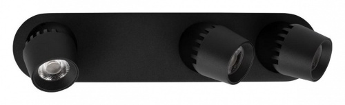 Накладной светильник Loft it Quiet 10320/3 Black в Нижнем Новгороде фото 5