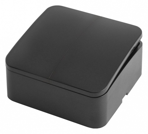 Выключатель двухклавишный Stekker София 49293 в Нижнем Новгороде