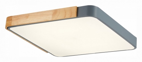 Накладной светильник EVOLUCE Festa SLE201272-01 в Нижнем Новгороде фото 3