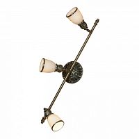 Спот Lussole Furlo LSL-7301-03 в Нижнем Новгороде