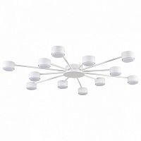 Потолочная люстра Lumion TORINA 8343/12C в Нижнем Новгороде