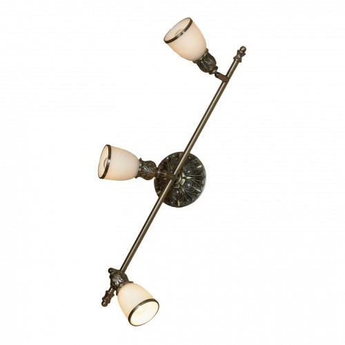 Спот Lussole Furlo LSL-7301-03 в Нижнем Новгороде