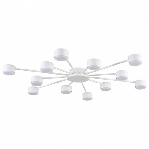 Потолочная люстра Lumion TORINA 8343/12C в Нижнем Новгороде