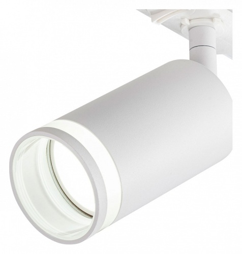 Светильник на штанге Escada 20016 20016TRA/01 SWH в Нижнем Новгороде фото 2