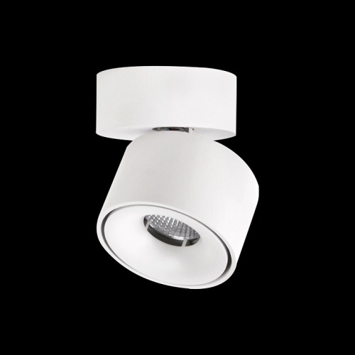 Спот Citilux Стамп CL558010N в Нижнем Новгороде фото 3