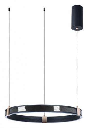 Подвесной светильник Arte Lamp Shine A2222SP-1BK в Иланском фото 4